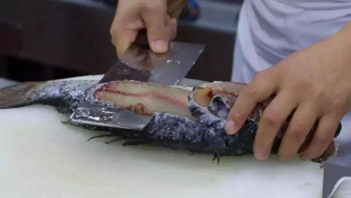 人民的非遗 3 保定美食中的 颜值扛把子